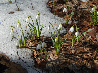 Similar image 10964261