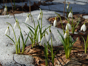 Similar image 10964262