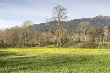 Similar image 10963606