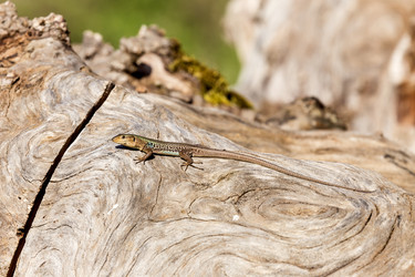 Similar image 10963803