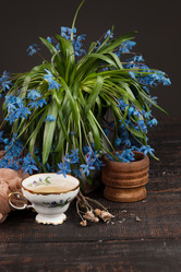 Similar image 11048403