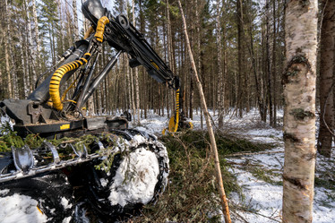 Similar image 11137438