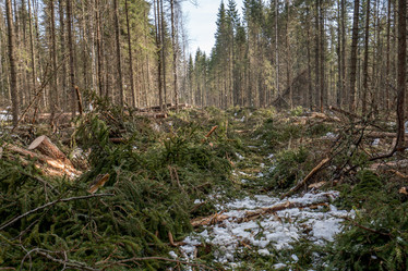 Similar image 11137442