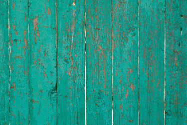 Similar image 11046005