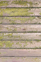 Similar image 11046009