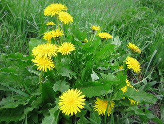 Similar image 10972097