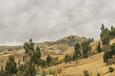 Similar image 10969132