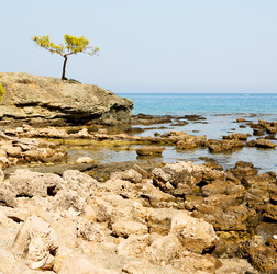 Similar image 10971790