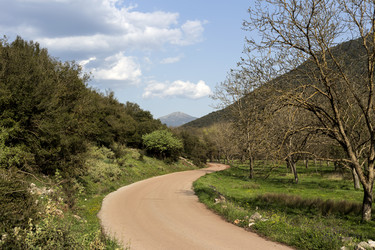 Similar image 10971795