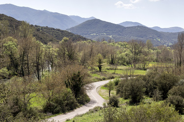 Similar image 10971798