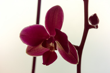 Similar image 11052528