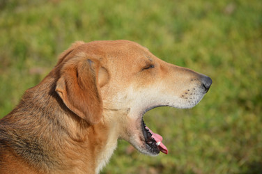 Similar image 11051245