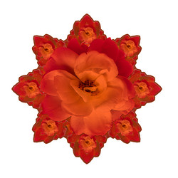 Similar image 10969139