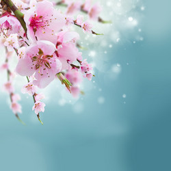 Similar image 11143878