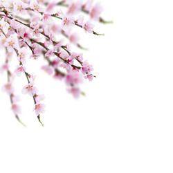 Similar image 11143881