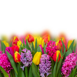 Similar image 11143905