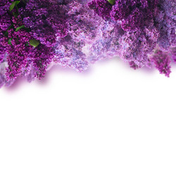 Similar image 11143906