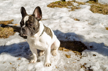 Similar image 10969040