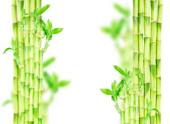 Similar image 11143928