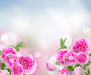 Similar image 11143929