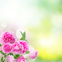 Similar image 11143986