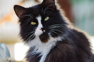 Similar image 10969041