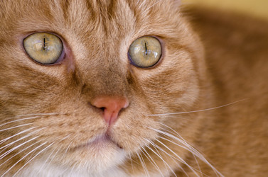 Similar image 10969048