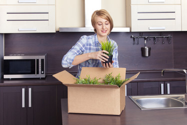 Similar image 10969407