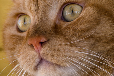 Similar image 10969051