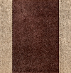 Similar image 10981393