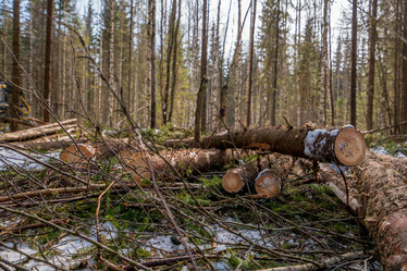 Similar image 11137352