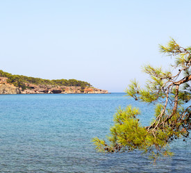 Similar image 10972108