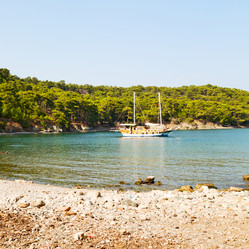 Similar image 10972109