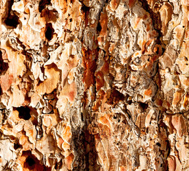 Similar image 10972112