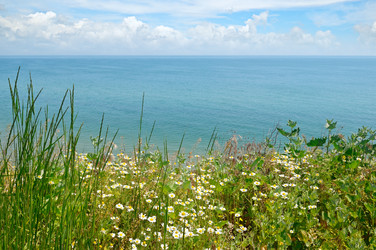 Similar image 10989369