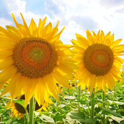 Similar image 10989371