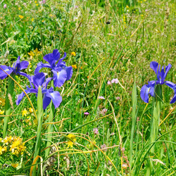 Similar image 10989407