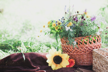 Similar image 10977542