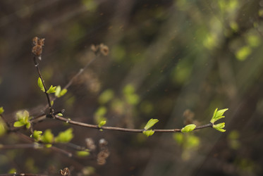 Similar image 10989678