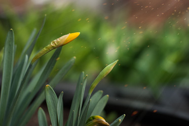 Similar image 10983305