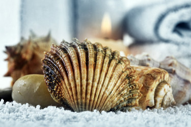 Similar image 11137752