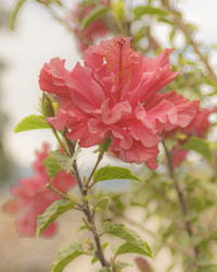 Similar image 10982895