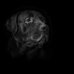 Similar image 10981406