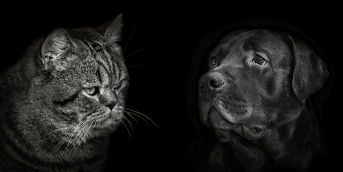 Similar image 10981408