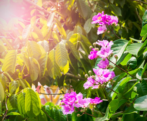 Similar image 10981645