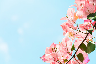 Similar image 10981647