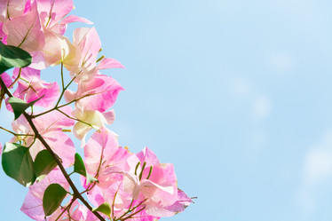 Similar image 10981649