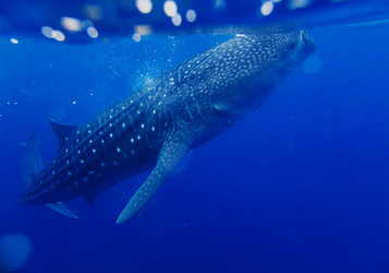 Similar image 11139114