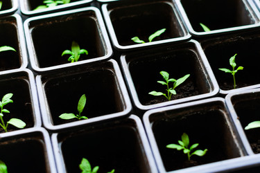 Similar image 10983142