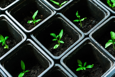 Similar image 10983144